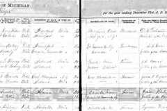 1873-05-12-ArnoldDW1849-PettisHL1855-Marriage-Record