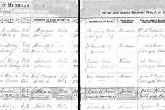 1873-05-12-ArnoldDW1849-PettisHL1855-Marriage-Record