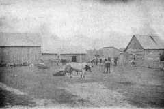 1890-00-00-KucksJC1845-Family-Farm