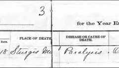 1895-06-27-Death-Record-MI-Kent-Washtenaw-ArnoldSX1817