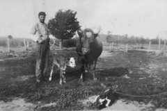 1898-00-00-BalitzFX1870-Bull