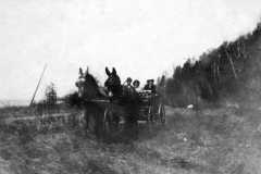 1898-00-00-BalitzFX1870-Mules