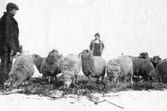 1915-00-00-BalitzFX1870-BalitzLW1906