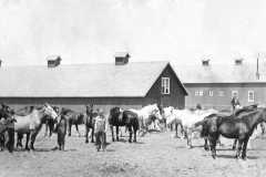 1915-06-03-Farm-Scene-Post-card-ArnoldDM1883-to-ArnoldDS1890