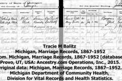1916-07-03-ArnoldDS1890-BalitzTM1896-Michigan-Marriage-Record-crop