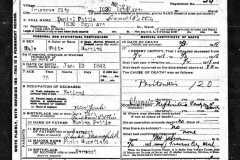 1918-02-03-PettisDaniel-Death-Certificate-tinyurl-com-y79ehon9