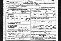 1918-02-03-PettisDaniel-Death-Certificate-tinyurl-com-y79ehon9