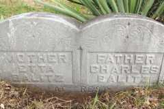 1918-11-05-WolfHX1833-BalitzCX18XX-Grave-Marker
