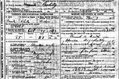 1918-11-07-WolfHX1833-Death-Certificate
