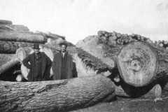 1919-04-01-ArnoldBD1879-ArnoldDS1890-Logging-Stormer-Benzie
