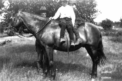 Daniel Webster Arnold with grandsons Alvin E. and Allen F. around 1926.