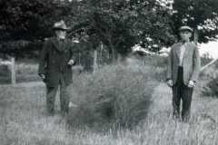 1927-01-01-circa-ArnoldDW1849-HarwoodJosephW-Asparagus