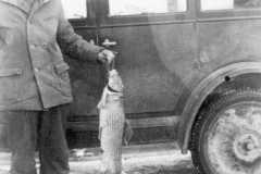 1930-00-00-ArnoldDS1890-Fish