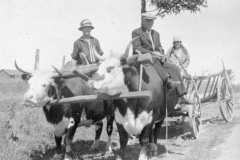 1930-00-00-KucksMS1877-BalitzFX1870-CampbellDella