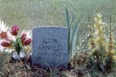 1934-07-11-ArnoldAL1925-Death-Grave-Marker