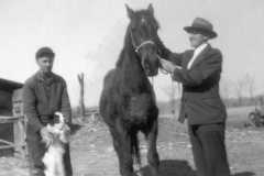 1940-00-00-ArnoldDS1890-MountainRon-Horse