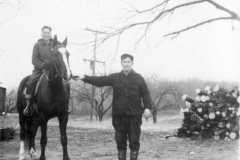1940-00-00-ArnoldDS1890-horse