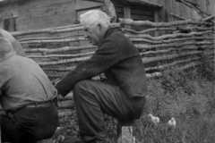 1940-00-00-BalitzFX1870-chicks