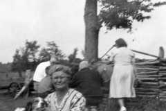 1940-00-00-KucksMS1877-dog-others