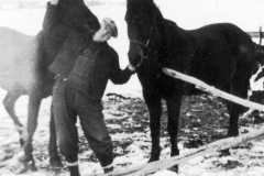 1940-03-03-Unknown-with-horses