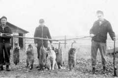 1941-00-00-ArnoldDS1890-ArnoldLD1929-ArnoldAF1921