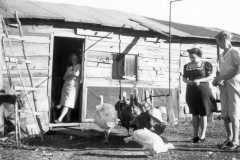 1941-00-00-BalitzTM1896BurringtonCM1919KucksMS1877