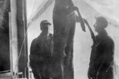 1942-11-15-Big-Buck