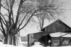 1943-00-00-Snowy-Barn-Scene