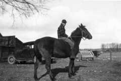1943-04-01-ArnoldLD1929-with-horse