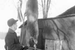 1947-00-00-ArnoldDS1890-big-buck-03