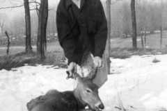 Deer at Dan & Tracie Arnold homestead, circa 1940.