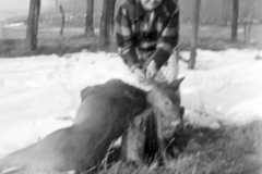 Deer at Dan & Tracie Arnold homestead, circa 1940.
