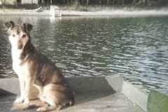 1949-00-00-GreenLake-Penny-colorized
