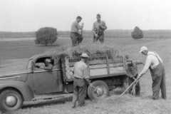 Work Bee at Mary Lee Allison's, circa 1949.