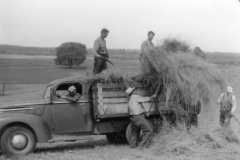 Work Bee at Mary Lee Allison's, circa 1949.