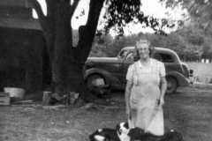 1954-00-00-BalitzTM1896-dogs-03