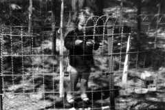 1955-05-01-ArnoldJY1953-cage-03
