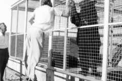 1955-10-01-ArnoldDS1890-ArnoldAF1921-bear