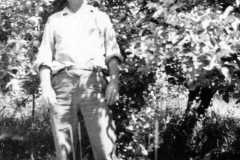 1957-09-01-ArnoldDS1890-tree