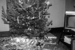 1957-12-25-presents-under-tree