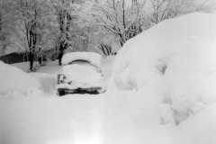 Winter at the Arnold Homestead, 1959.