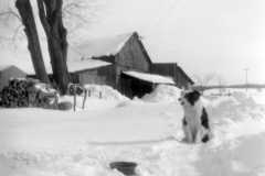 Winter at the Arnold Homestead, 1959.