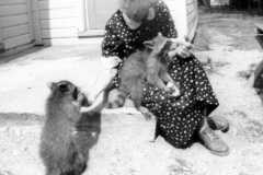 1959-09-04-BuessEL1880