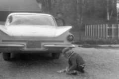 1960-00-00-ArnoldDS1890-ArnoldDE1956