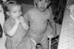 1960-02-01-ArnoldGJ1958-ArnoldDE1956