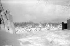 1964-01-01-Honor-Arnold-Homestead-Winter