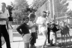 1966-07-04-Traverse-Zoo-ArnoldLD1929-ArnoldGJ1958-ArnoldDE1956-ArnoldJY1953-ArnoldTL1964