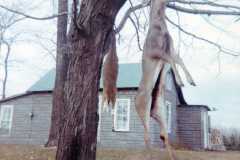 1967-11-15-Honor-Deer-Season-01