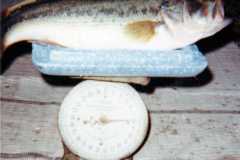 1968-05-31-Bass-Stevens-Lake