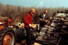 1969-07-01-Honor-ArnoldLD1929-ArnoldAF1921-Stacking-Wood